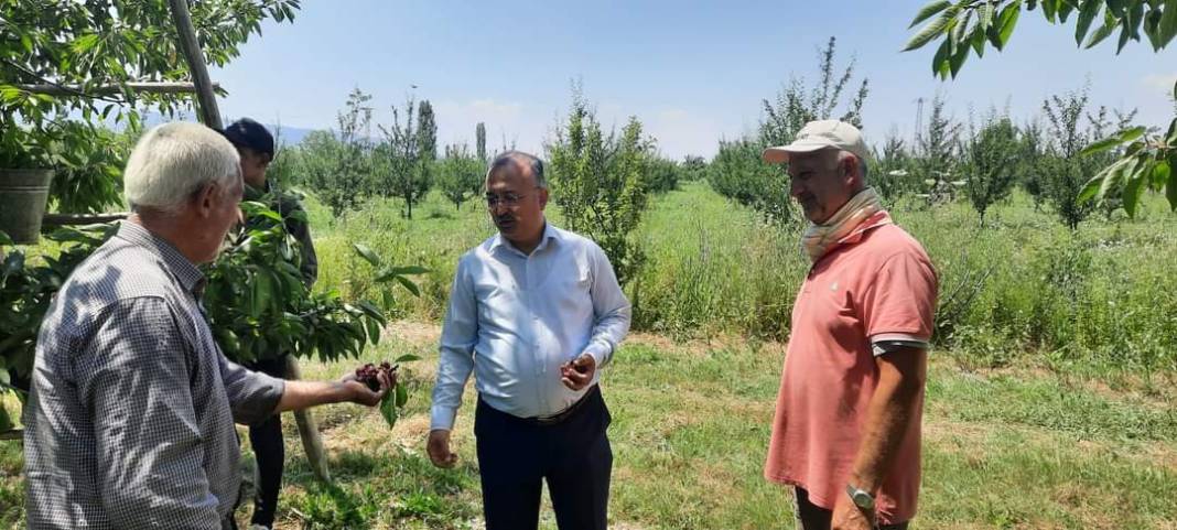 Konya’nın tescilli ürününde hasat başladı 4